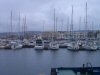 Yachts Docked in the Bay